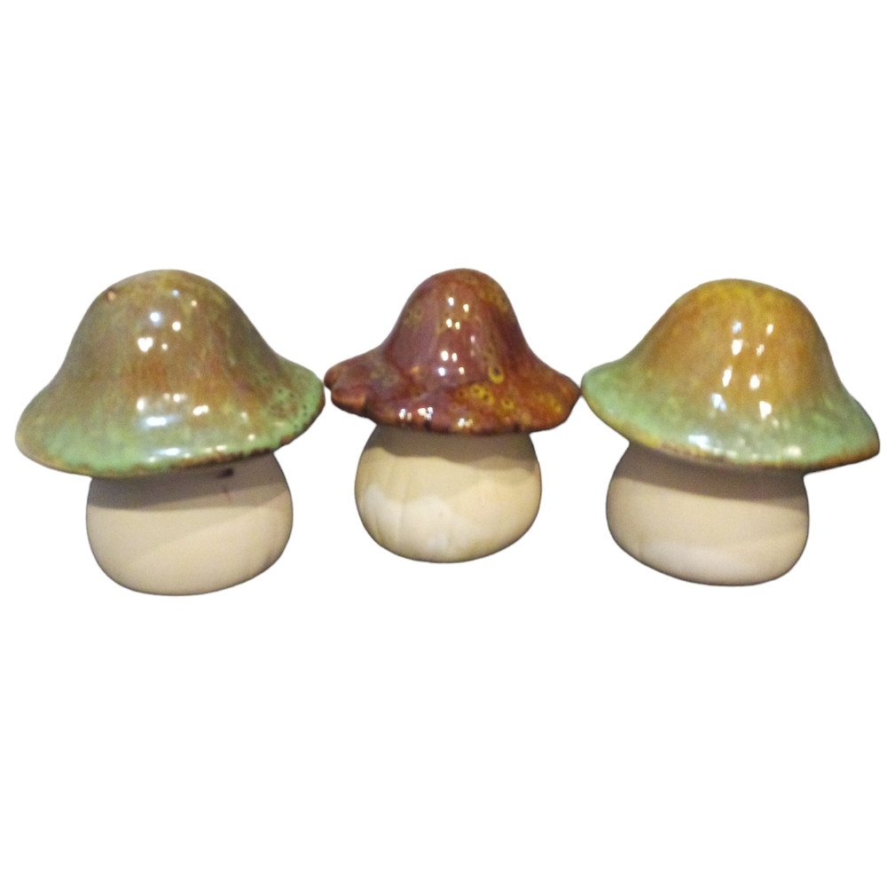 Mushroom, 3 Piece Set, Home Decor, Glass Top, Wooden Bottom, Made In China